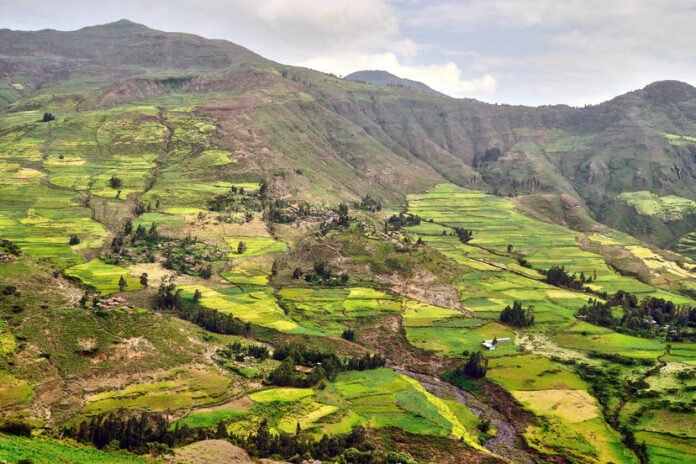 Top 20 Hospitals in  Ethiopia