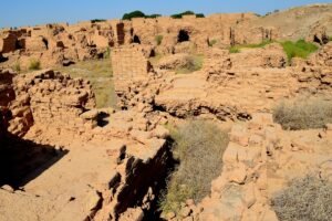 Top 20 Hospitals in Iraq