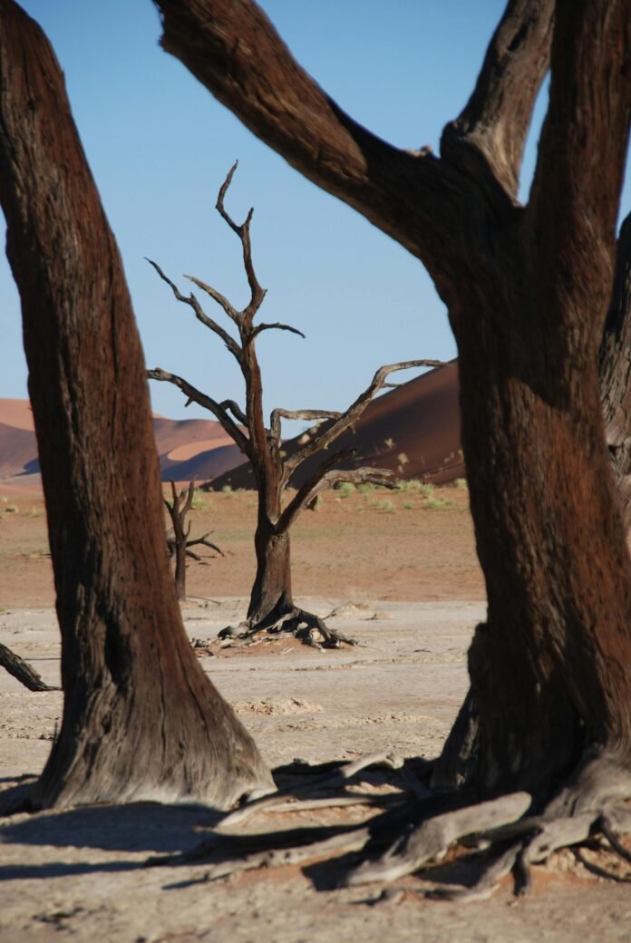 Namibia