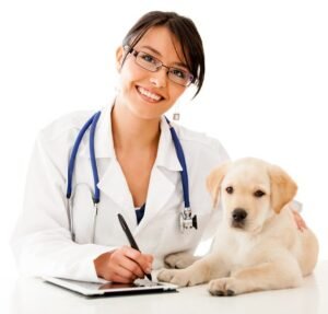 Veterinary