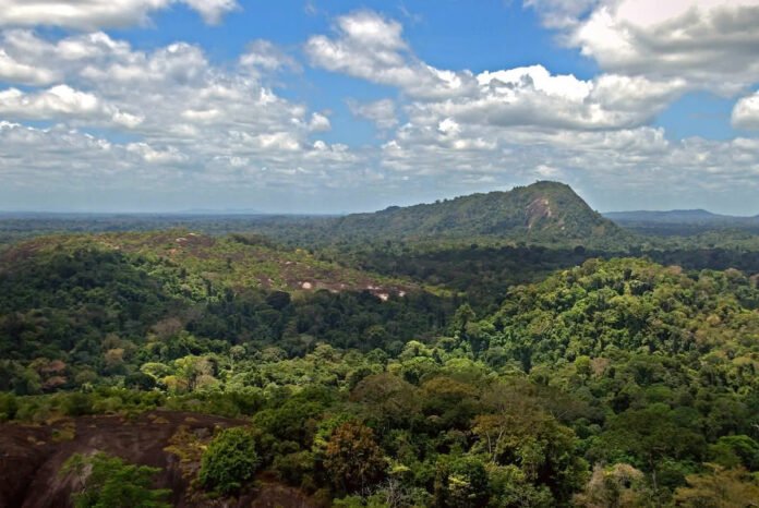 Surinam