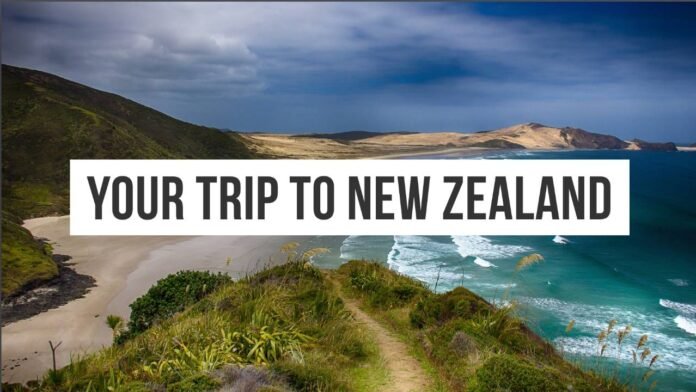 Top 10 Health Insurance Options for Overseas International Students in New Zealand