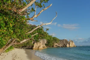 Seychelles
