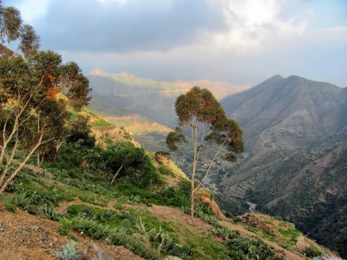 Navigating Health Insurance as an International Student in Eritrea: A Practical Guide for Individuals and Families Eritrea