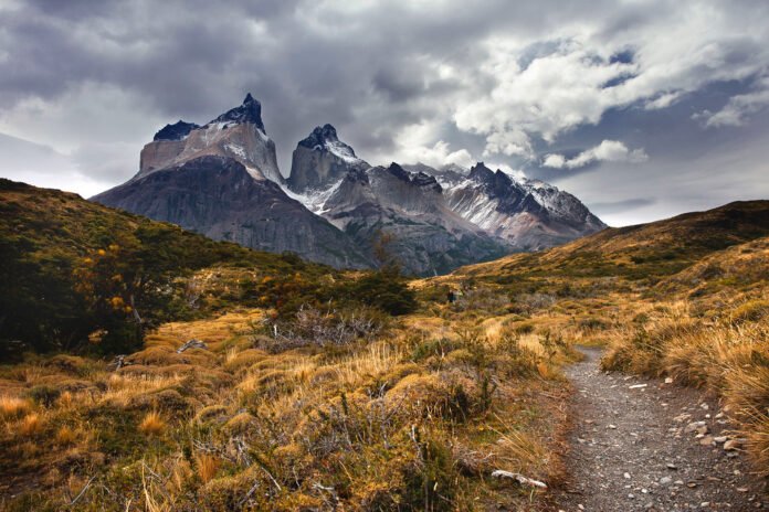 Navigating Health Insurance in Chile: A Complete Guide for International Students and Families Chile