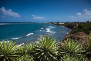 Saint Kitts and Nevis