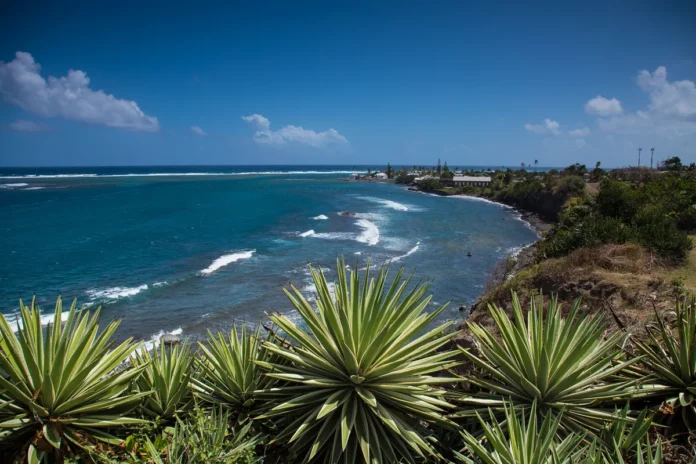 Choosing Student Health Insurance in Saint Kitts and Nevis: A Comprehensive Guide Saint Kitts and Nevis