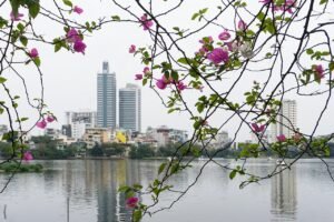 Vietnam